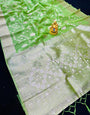 Imbrication Pista Organza Silk Saree With Murmurous Blouse Piece