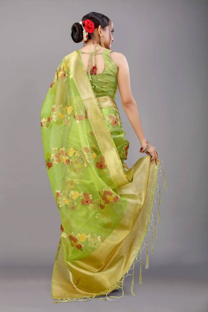 Charming Parrot Organza Silk Saree with Adorning Blouse Piece