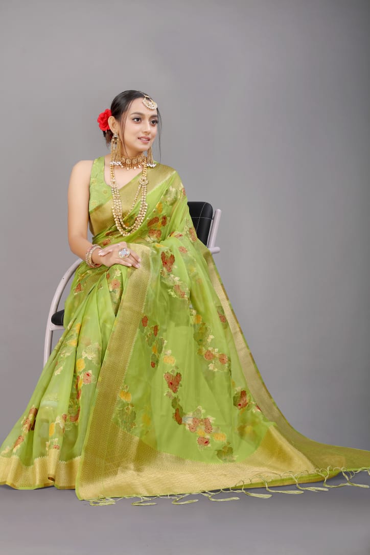 Charming Parrot Organza Silk Saree with Adorning Blouse Piece