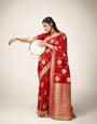 Ailurophile Red Kanjivaram Silk With A glam Blouse Piece