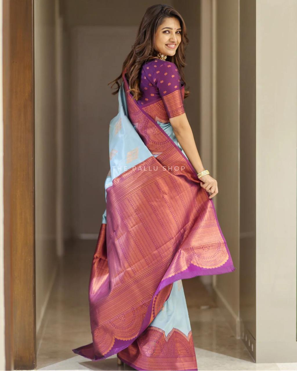 Splendiferous Sky Soft Silk Saree With Incredible Blouse Piece